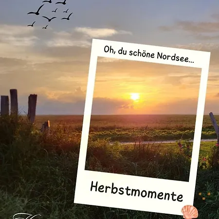 Apartmán Koje 2 Schillig